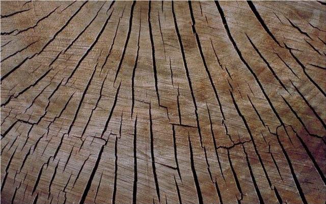 实木地板为什么容易开裂？